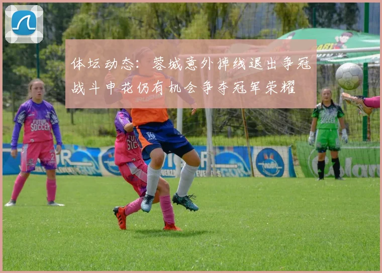 体坛动态：蓉城意外掉线退出争冠战斗申花仍有机会争夺冠军荣耀