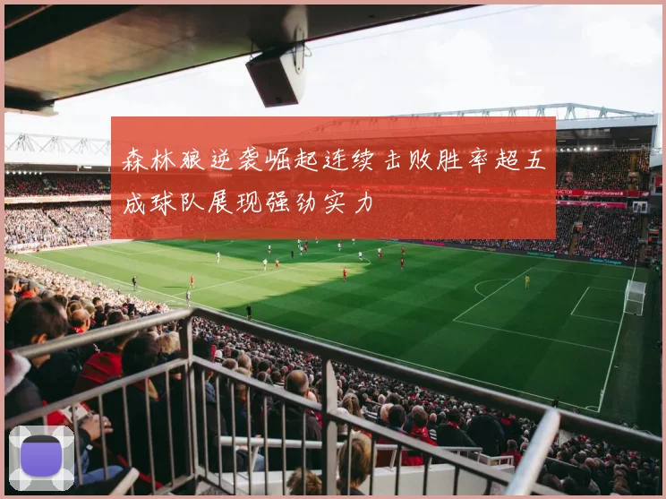 森林狼逆袭崛起连续击败胜率超五成球队展现强劲实力